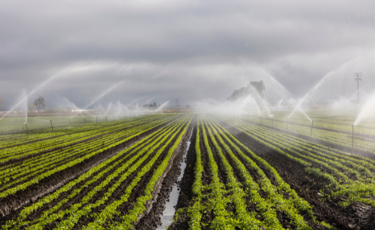 Langfos Rotsfosfaat Kunsmis
